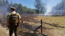 Carabineros detuvo a mujer acusada de provocar un incendio forestal en Los Ríos