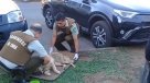 El noble gesto de Carabineros que rescataron a un perrito atropellado