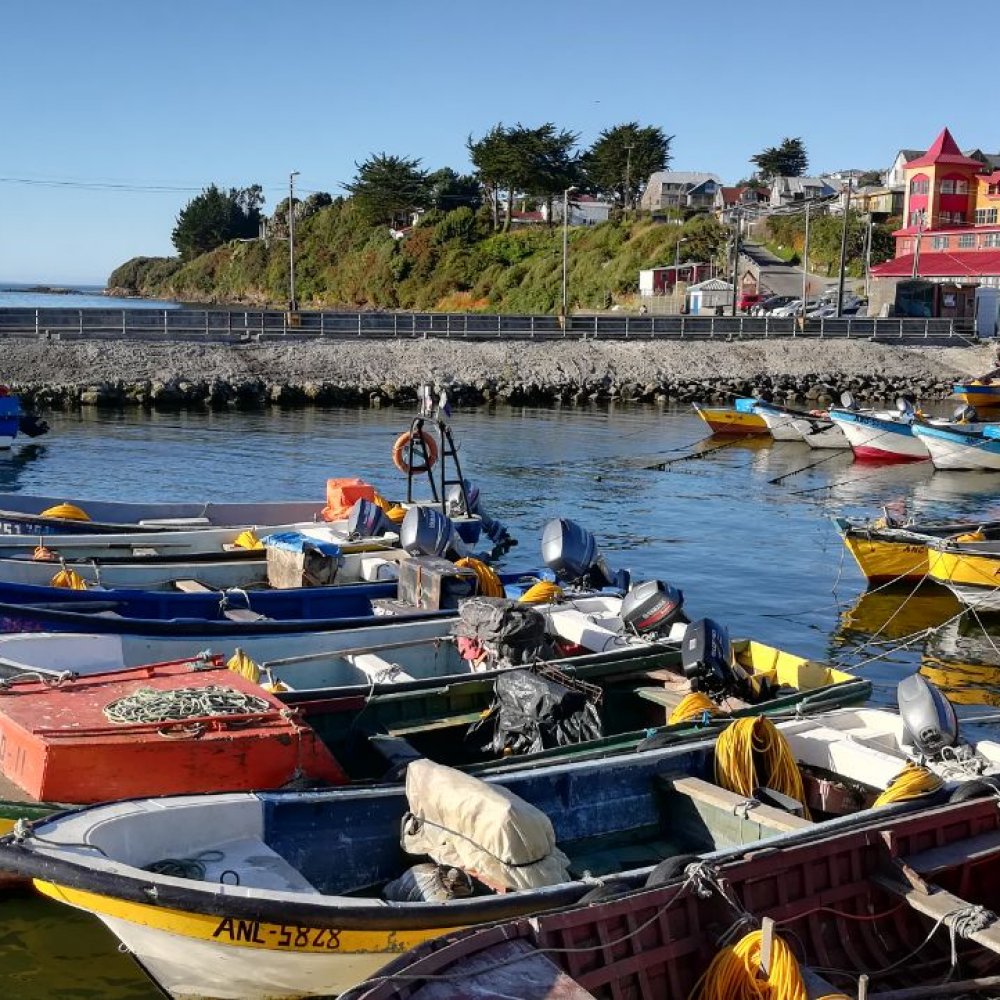 Chiloé: Pesca artesanal afectada con la marea roja recibirá aporte del Gobierno este jueves