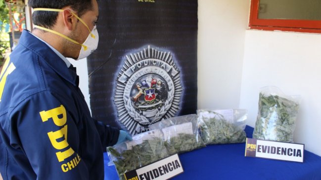 PDI decomisó más de 2.300 dosis de marihuana en Santa Cruz