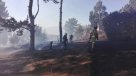 Onemi declaró alerta roja por incendio forestal en Valparaíso