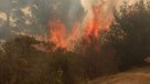 Tres alertas rojas por incendios se mantienen en la región de Valparaíso