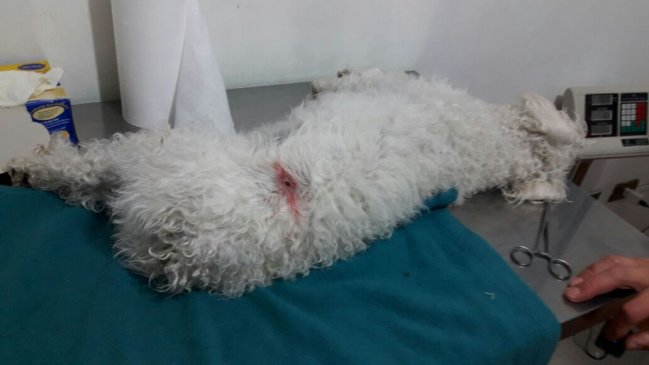 Imagen foto_00000016