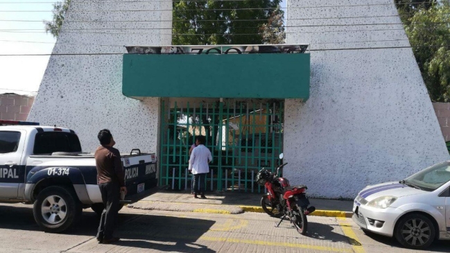 México: Trabajador de un zoológico murió tras ser atacado por un león