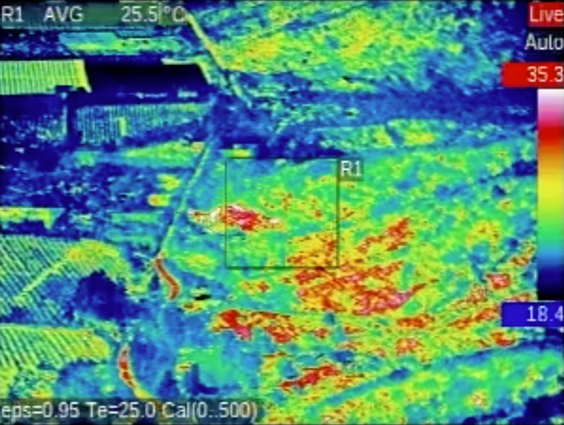 Conaf incorpora avión para investigar incendios forestales en Valparaíso
