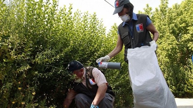 Falleció joven de Coyhaique contagiada con virus hanta