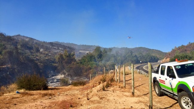 Incendio en Quilpué arrasa 180 hectáreas de pastizal y bosque nativo
