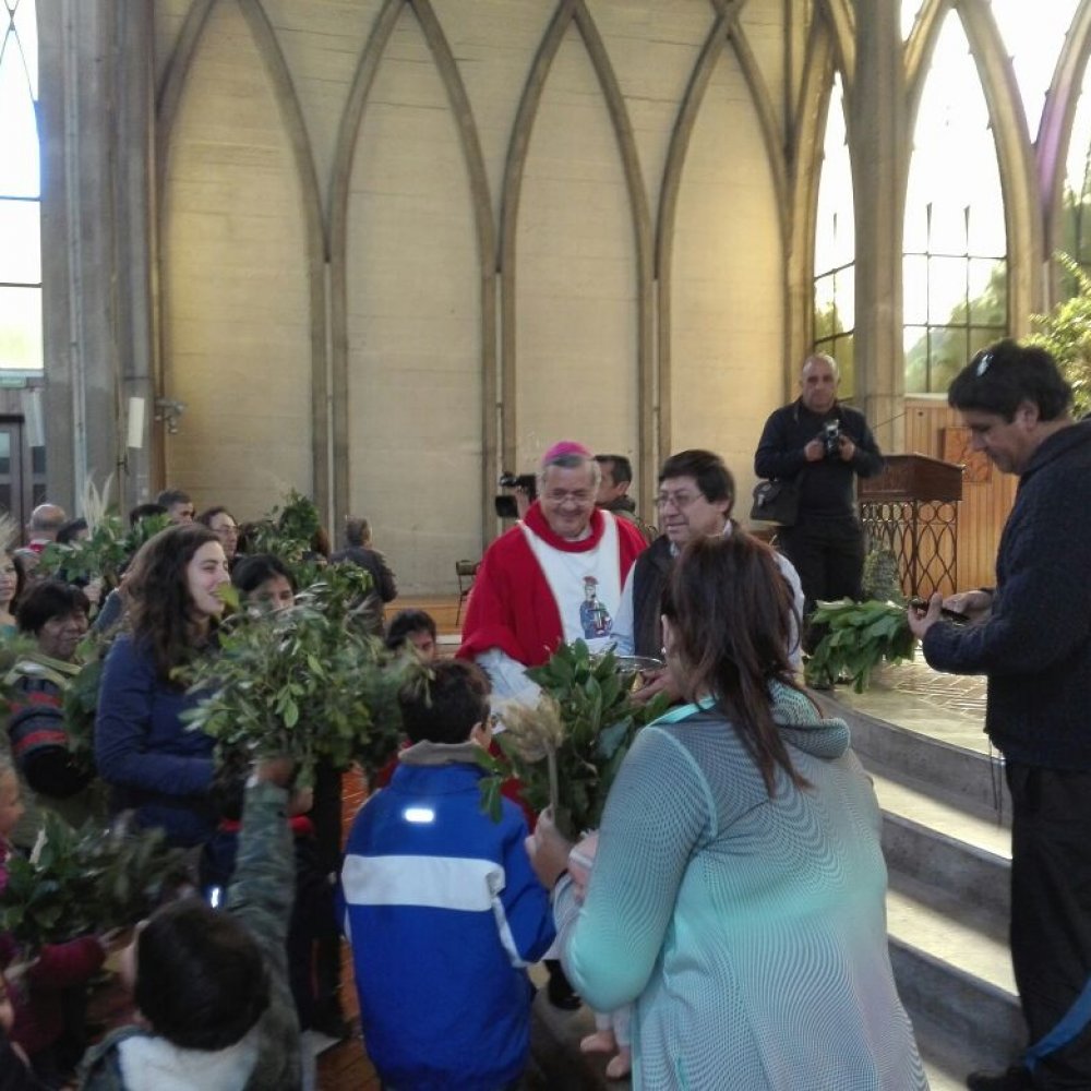 Barros evitó hablar de investigación del Vaticano en su primera misa masiva tras visita del papa