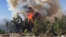 Incendio forestal amenazó hospital siquiátrico El Peral