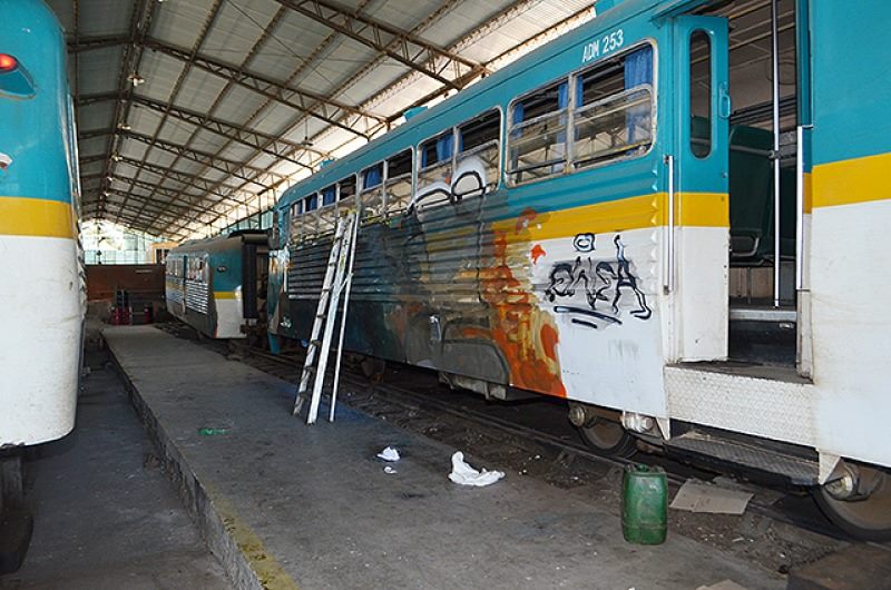 Desconocidos rayan vagones del último ramal del país