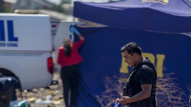 Adulto mayor murió al ser atacado por perros en Vallenar