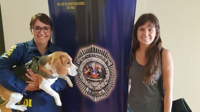 Perro robado fue encontrado por la PDI y devuelto a su dueña en La Reina