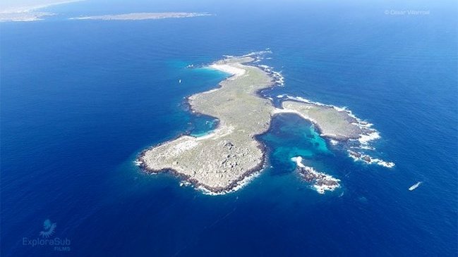 Archipiélago Humboldt fue declarado 