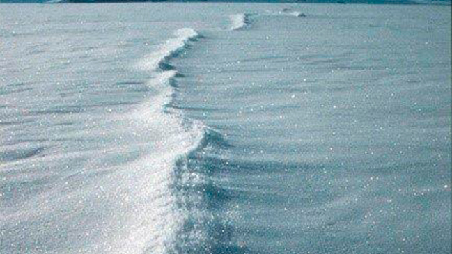 La Antártica perdió un área de hielo submarino del tamaño de la isla española de Gran Canaria