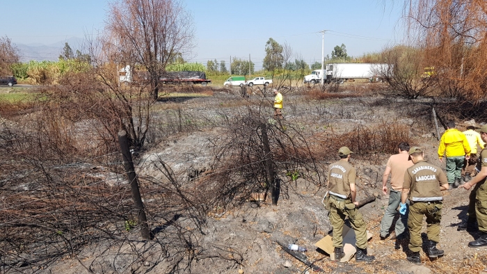 Imagen foto_00000015