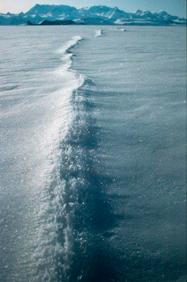 Imagen foto_00000015