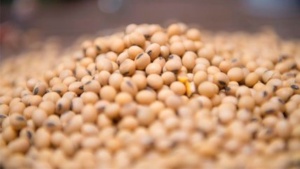  China denuncia a EEUU ante la OMC  