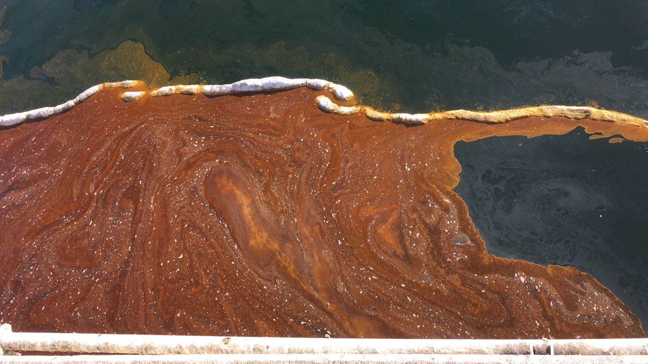 Imagen foto_00000017