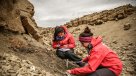 Científicos hallaron restos de dinosaurio semiarticulado en la Región de Magallanes