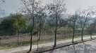 Dirigenta vecinal de Vitacura: Nos da lo mismo el cuento social o no social, no queremos viviendas