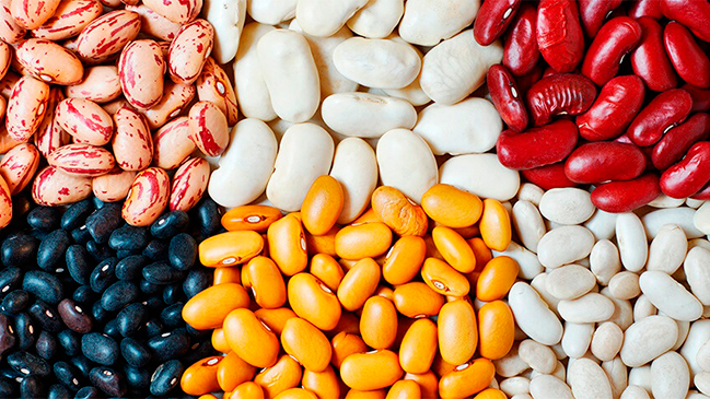 Imagen foto_00000015