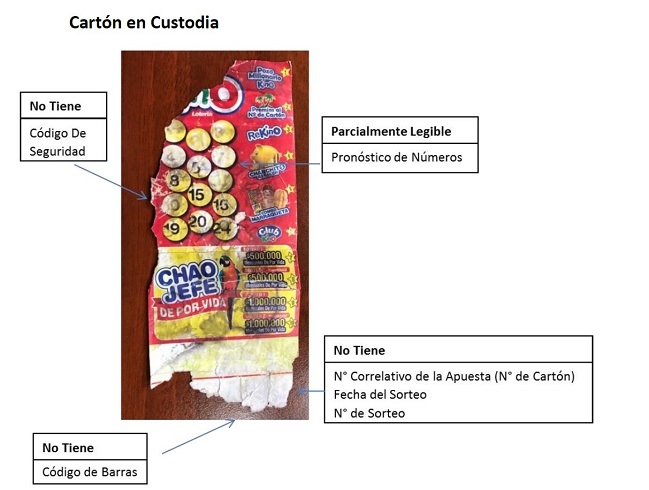 Imagen foto_00000003