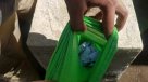 Linares: Detienen a menor de 15 años que ocultaba droga en un calcetín