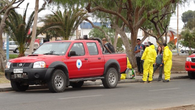Hallan nuevos ejemplares de mosquito del dengue en población Eduardo Frei de Arica
