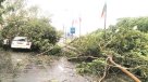 Al menos 18 muertos por fuertes lluvias en el este de la India