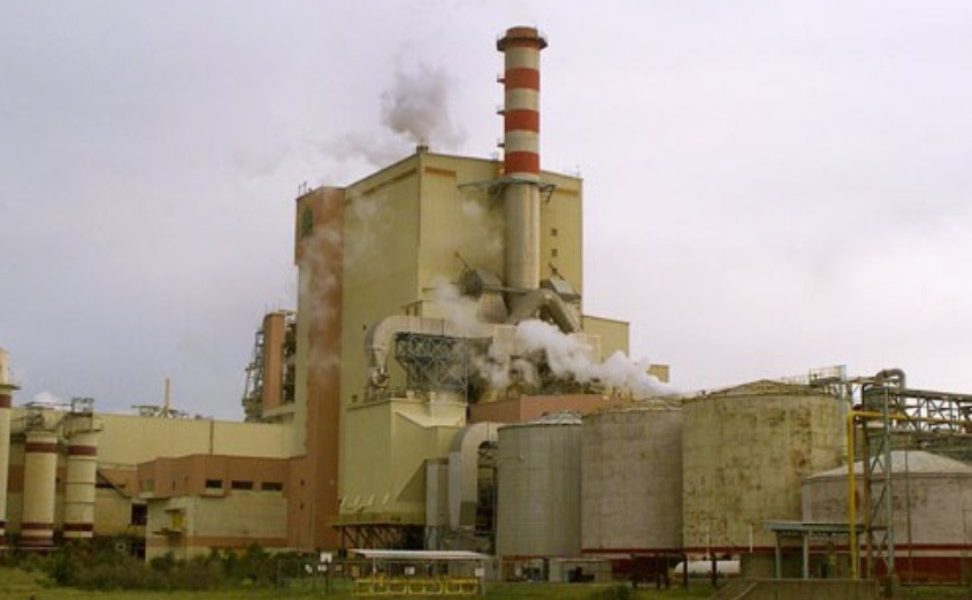 Ñuble: Se inició sumario por derrame de residuos industriales en Trehuaco