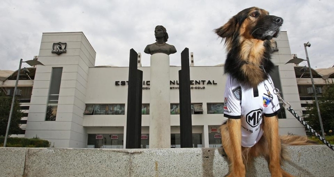 Colo Colo le dio la bienvenida a su nuevo miembro: 