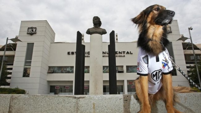 Colo Colo le dio la bienvenida a su nuevo miembro: 