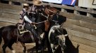 Dictamen de Contraloría anuló ordenanza municipal de Recoleta que prohibía el rodeo