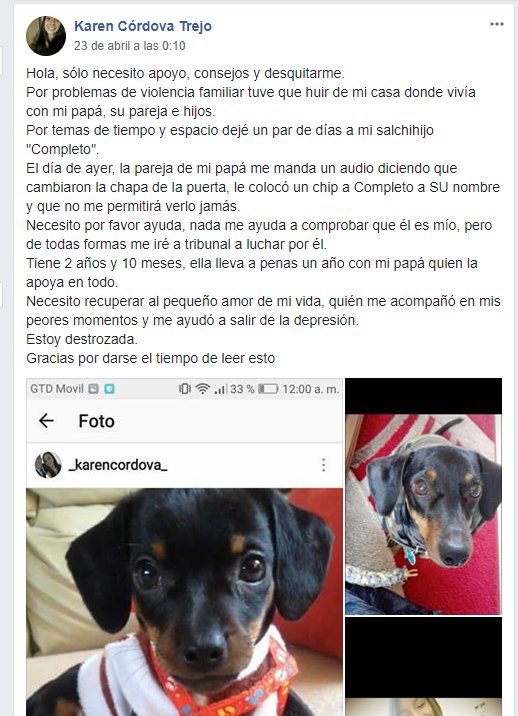 Imagen foto_00000018