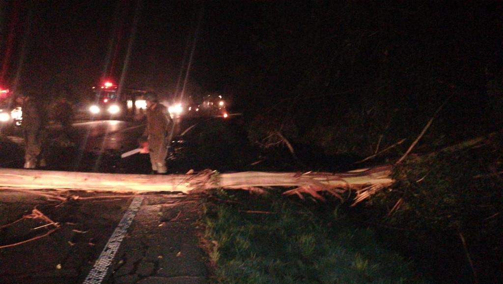 Los Ríos: Fiscalía investiga bloqueo intencional de ruta Valdivia-Paillaco