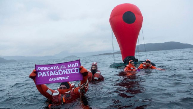 Magallanes: Activistas de Greenpeace se lanzaron a las gélidas aguas del Seno Skyring