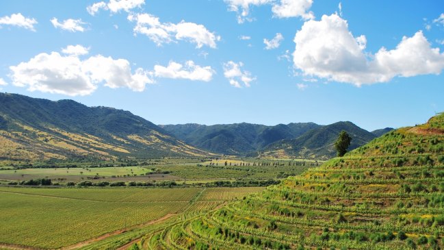 Región de O'Higgins postula a ser sede de la IV Conferencia Mundial de Enoturismo