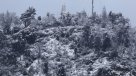 Empresas eléctricas preparan plan de invierno en la RM con grupos electrógenos y podas