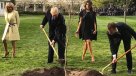 Desapareció el roble que Trump y Macron plantaron en la Casa Blanca