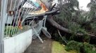 Temporal en Buenos Aires: Dos muertos, derrumbes de edificios y cortes de luz