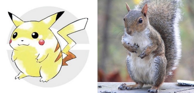 Imagen foto_00000002