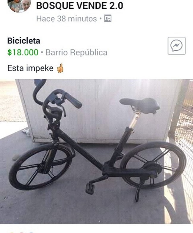 Imagen foto_00000016