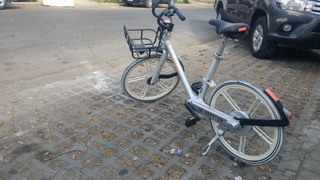 Imagen foto_00000017