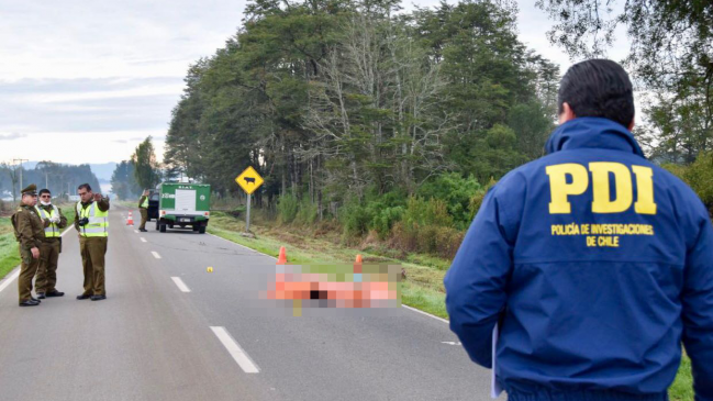 Los Ríos: Encuentran cadáver en ruta Los Lagos - Futrono