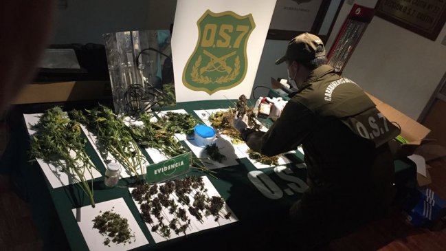 Carabineros de Temuco detuvo a cuatro estudiantes universitarios por tráfico de drogas