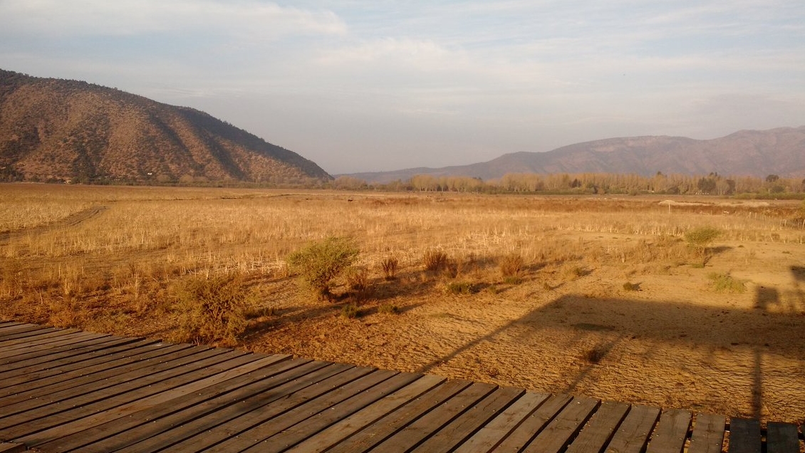 Alcalde de Paine: El panorama en la laguna de Aculeo es desolador