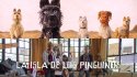"Isla de perros" y "La isla de los pingüinos" en el análisis de Joel Poblete