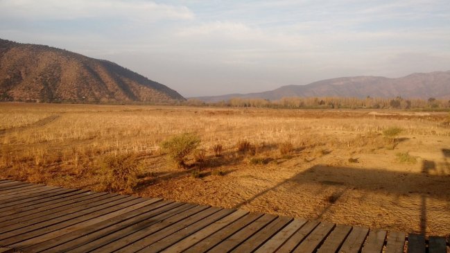 Alcalde de Paine: El panorama en la laguna de Aculeo es desolador