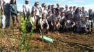 Comenzó plantación de ocho mil árboles nativos para reforestar Santa Olga