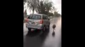 Denuncian cruel maltrato animal: Llevaba a su perro arrastrando bajo la lluvia